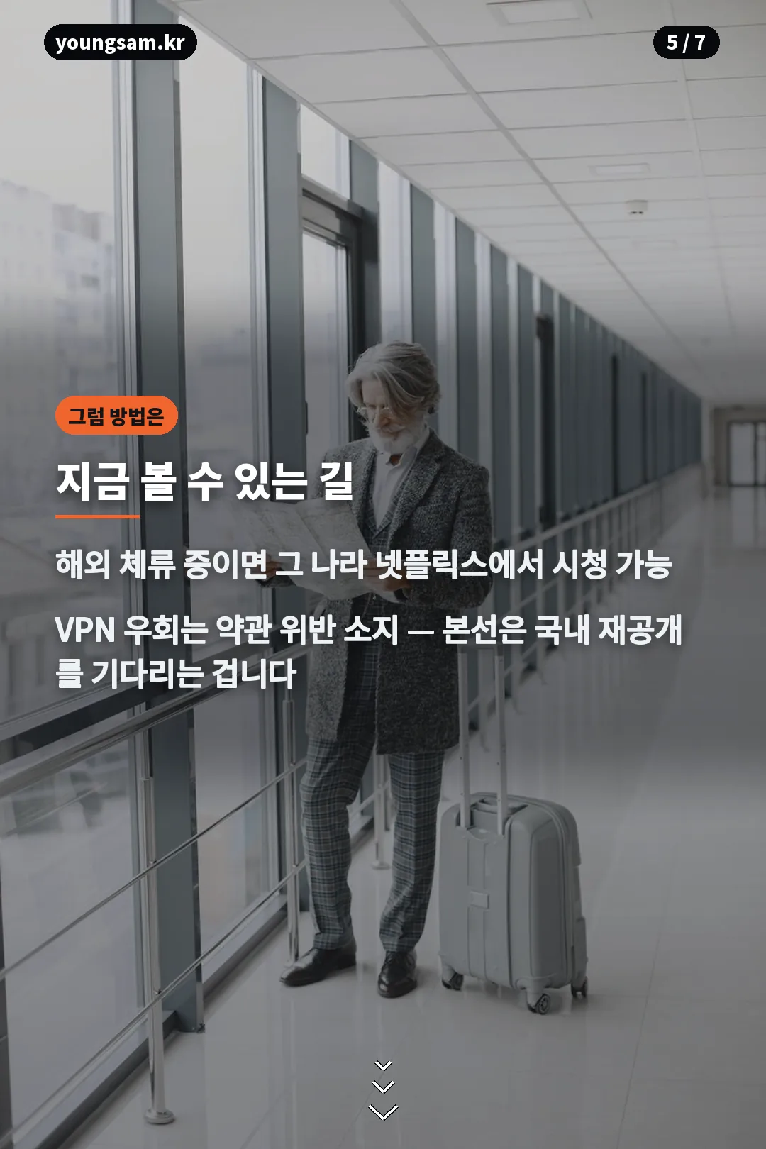 디워 지금 볼 수 있는 방법 카드
