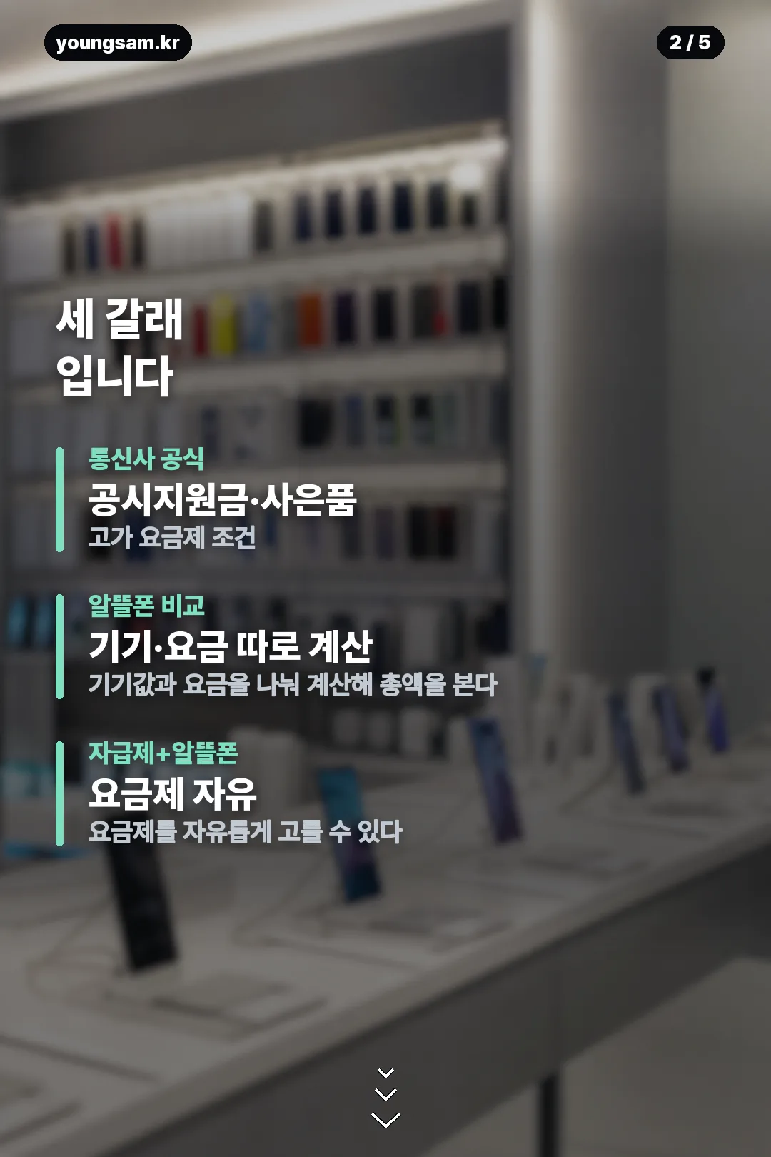 폴드8 구매 경로별 비교 카드 2
