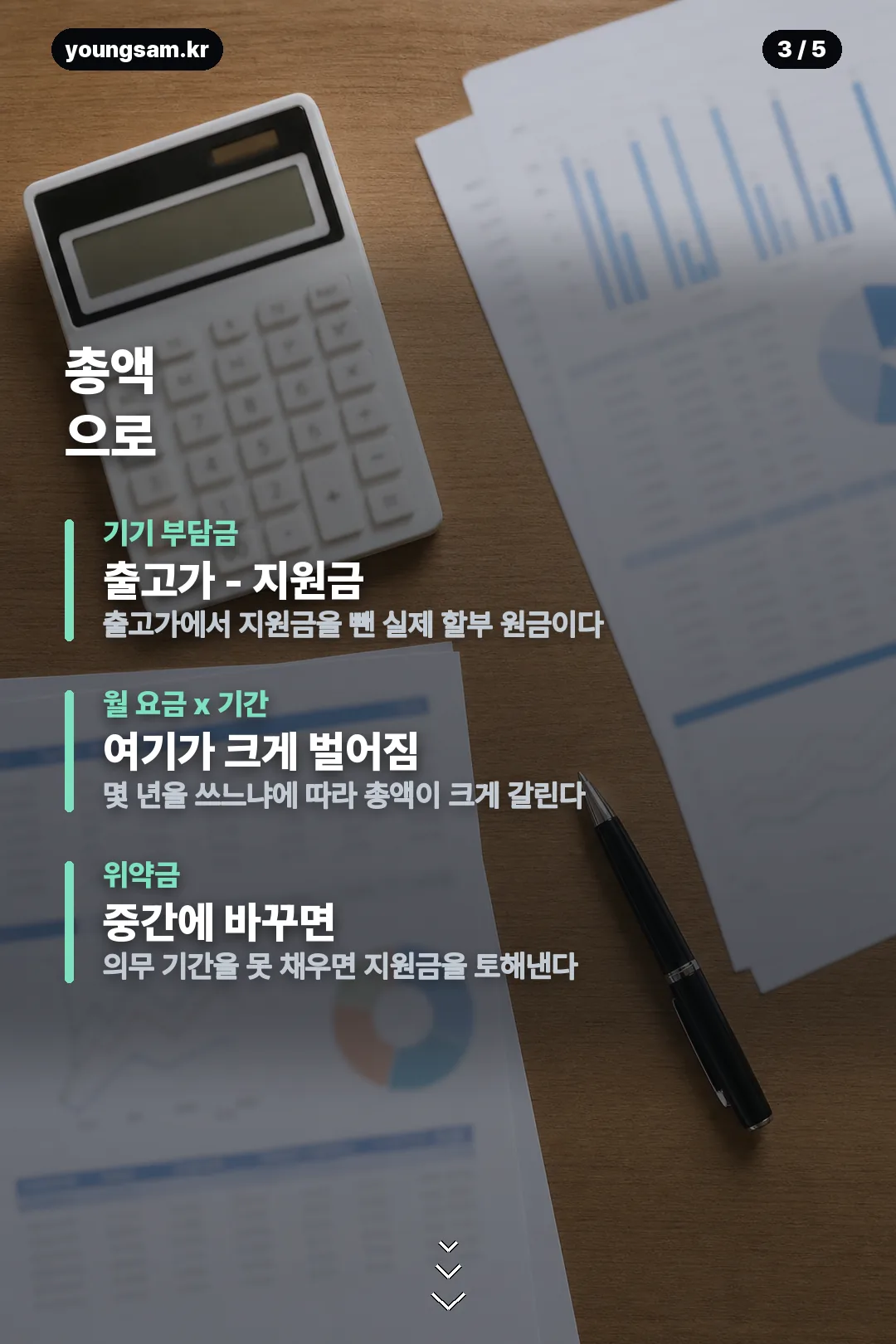 폴드8 구매 경로별 비교 카드 3