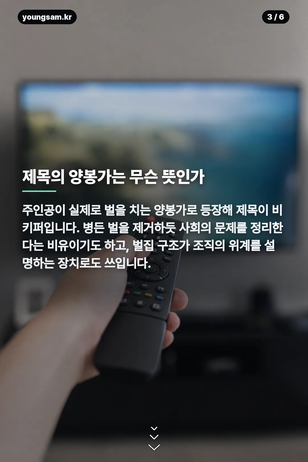 비키퍼 정보 카드뉴스 3
