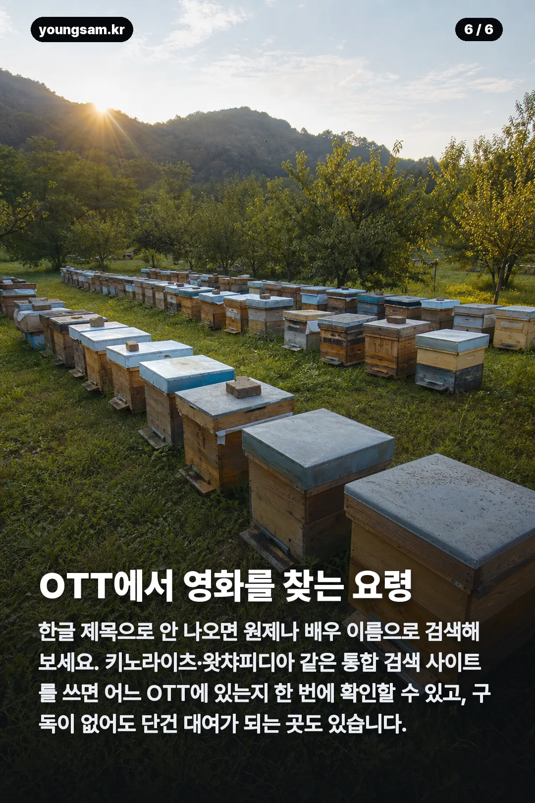 비키퍼 정보 카드뉴스 6