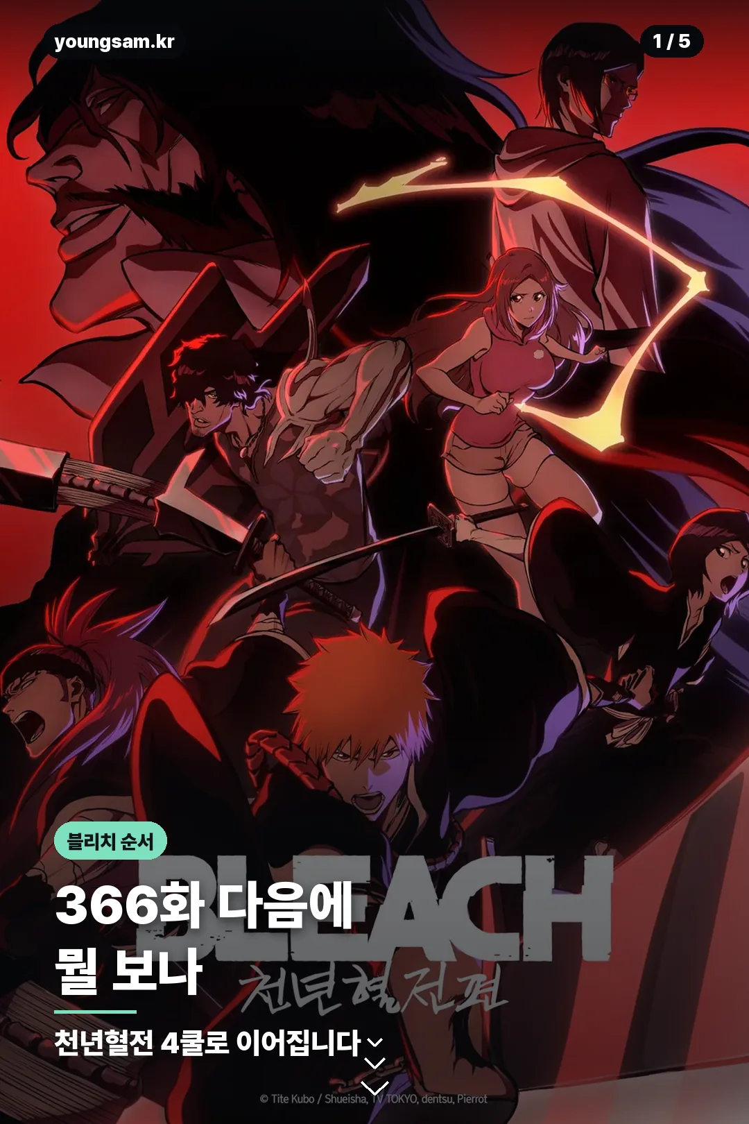 블리치 애니메이션 시청 순서 정리 카드 1