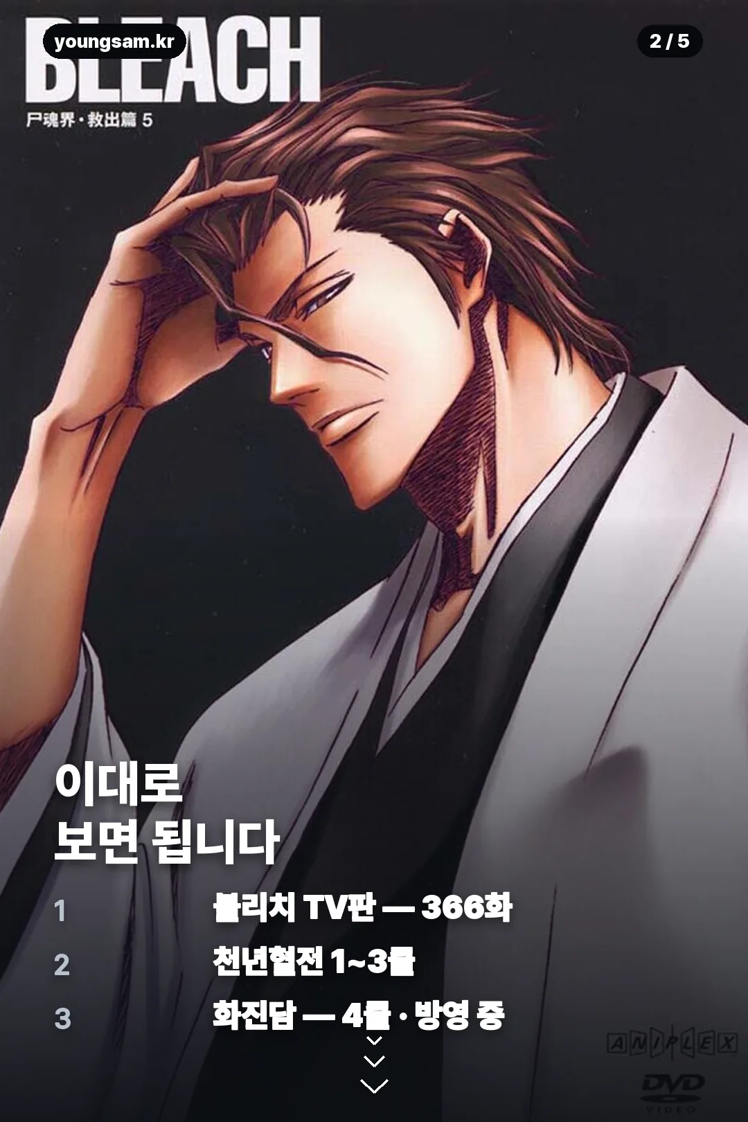 블리치 애니메이션 시청 순서 정리 카드 2