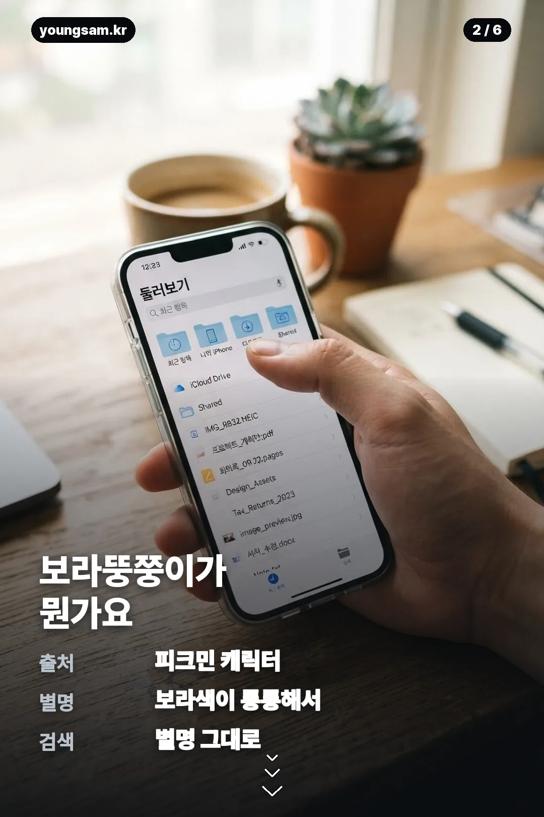 보라뚱쭝이 카톡테마 카드뉴스 2