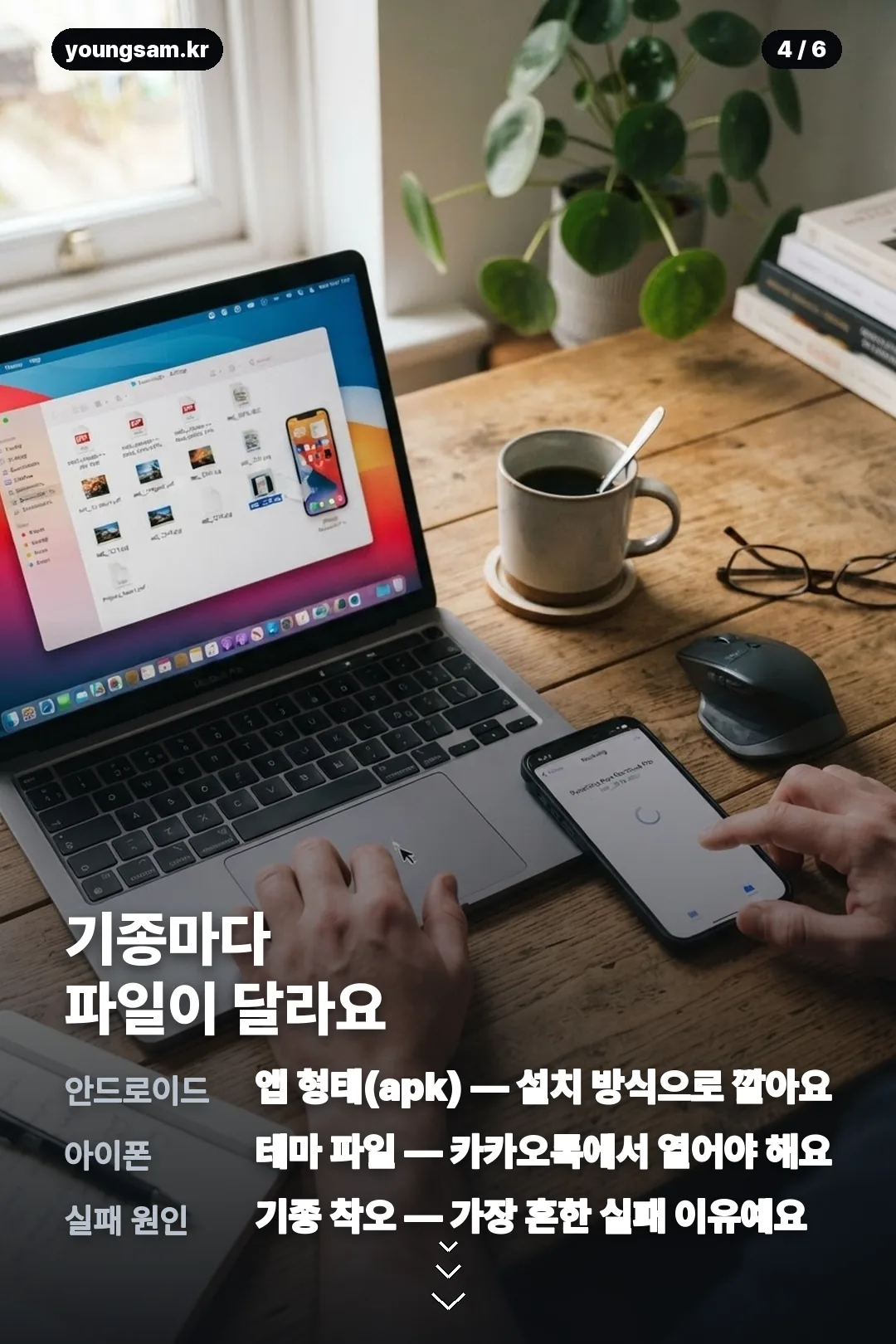 보라뚱쭝이 카톡테마 카드뉴스 4