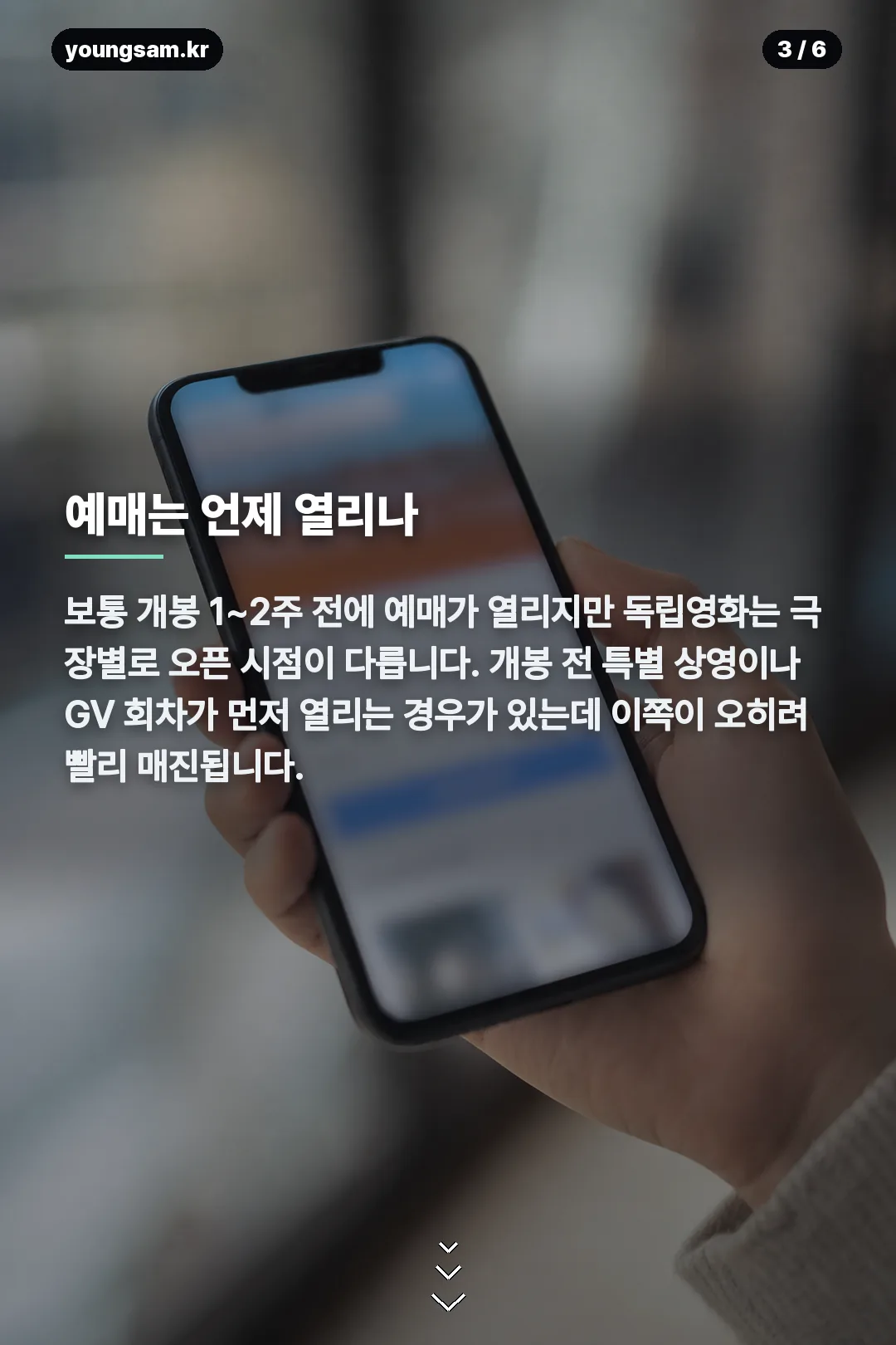 철들 무렵 상영일정 카드뉴스 3