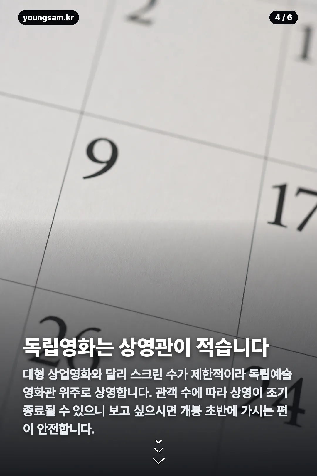 철들 무렵 상영일정 카드뉴스 4