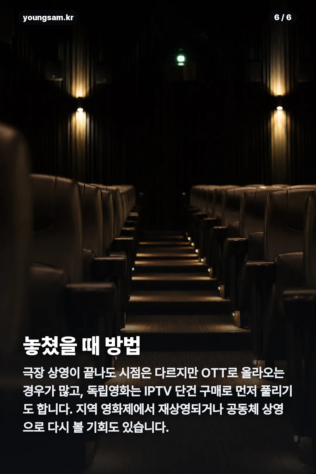 철들 무렵 상영일정 카드뉴스 6