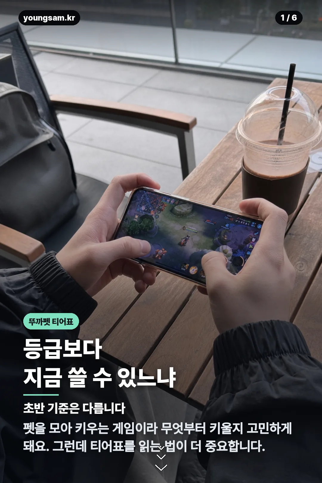 뚜까펫 티어표 카드뉴스 1