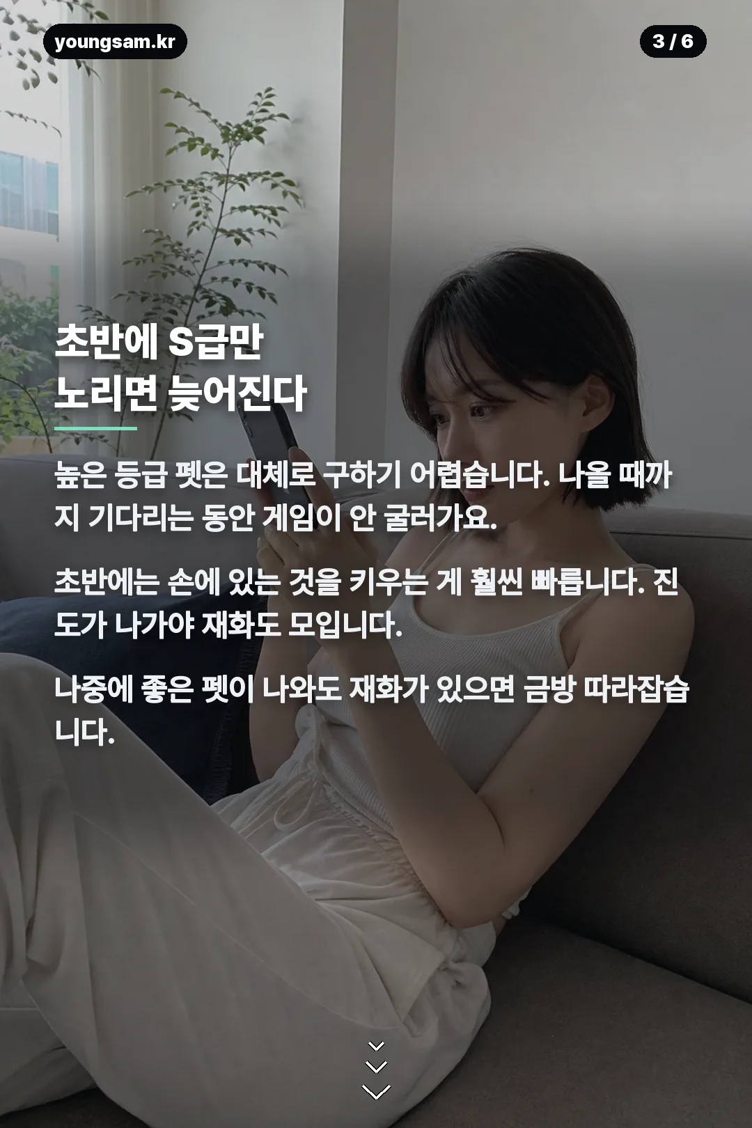 뚜까펫 티어표 카드뉴스 3