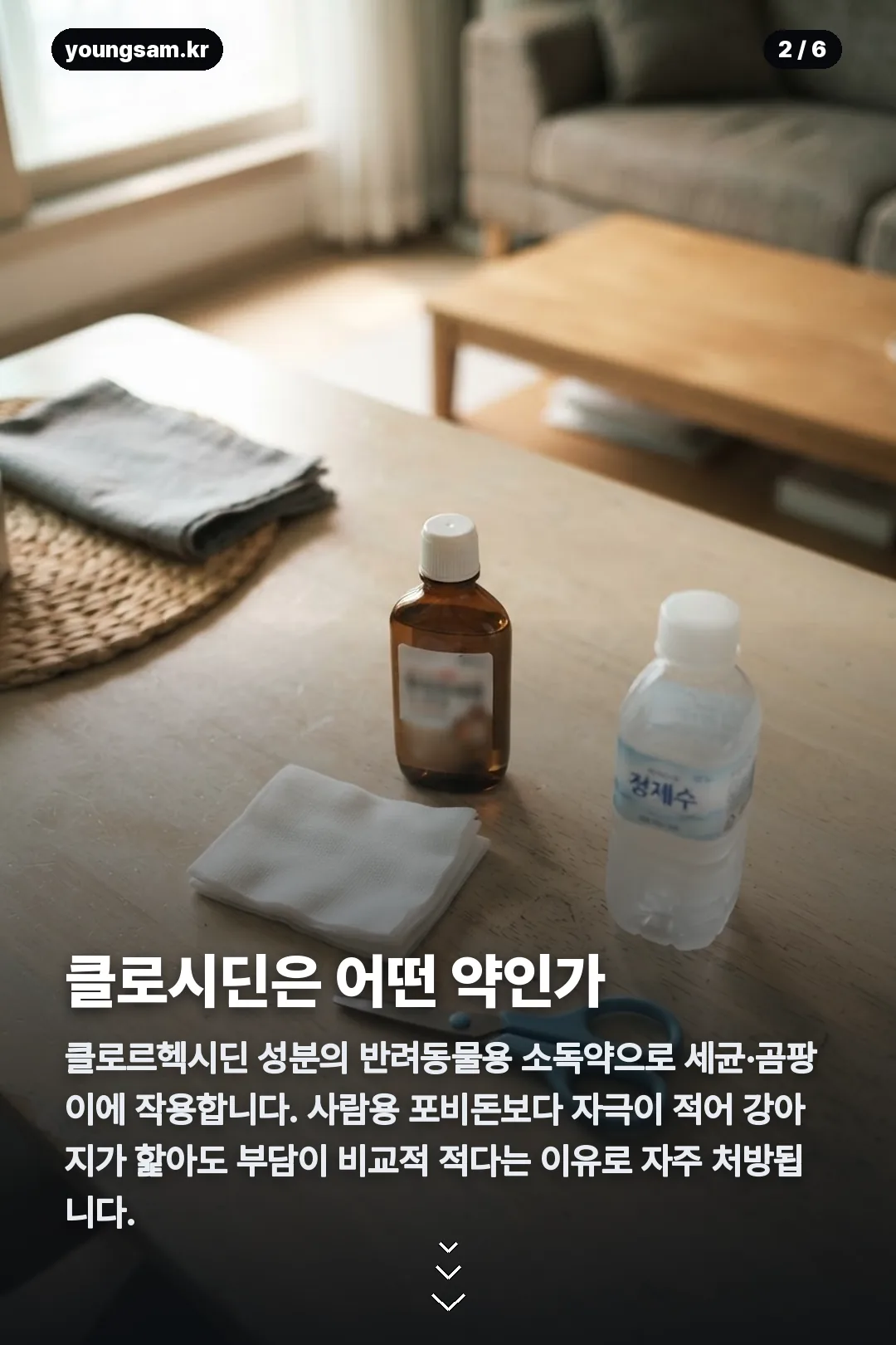 강아지 클로시딘 비율 카드뉴스 2