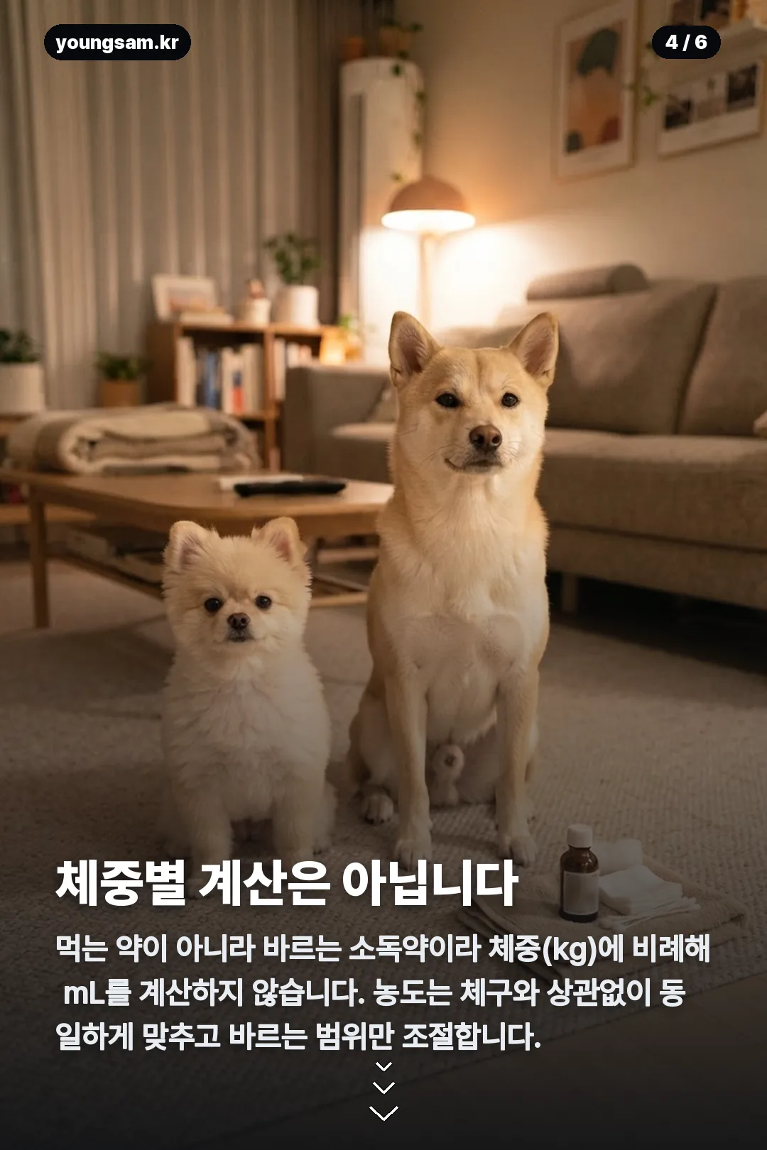 강아지 클로시딘 비율 카드뉴스 4