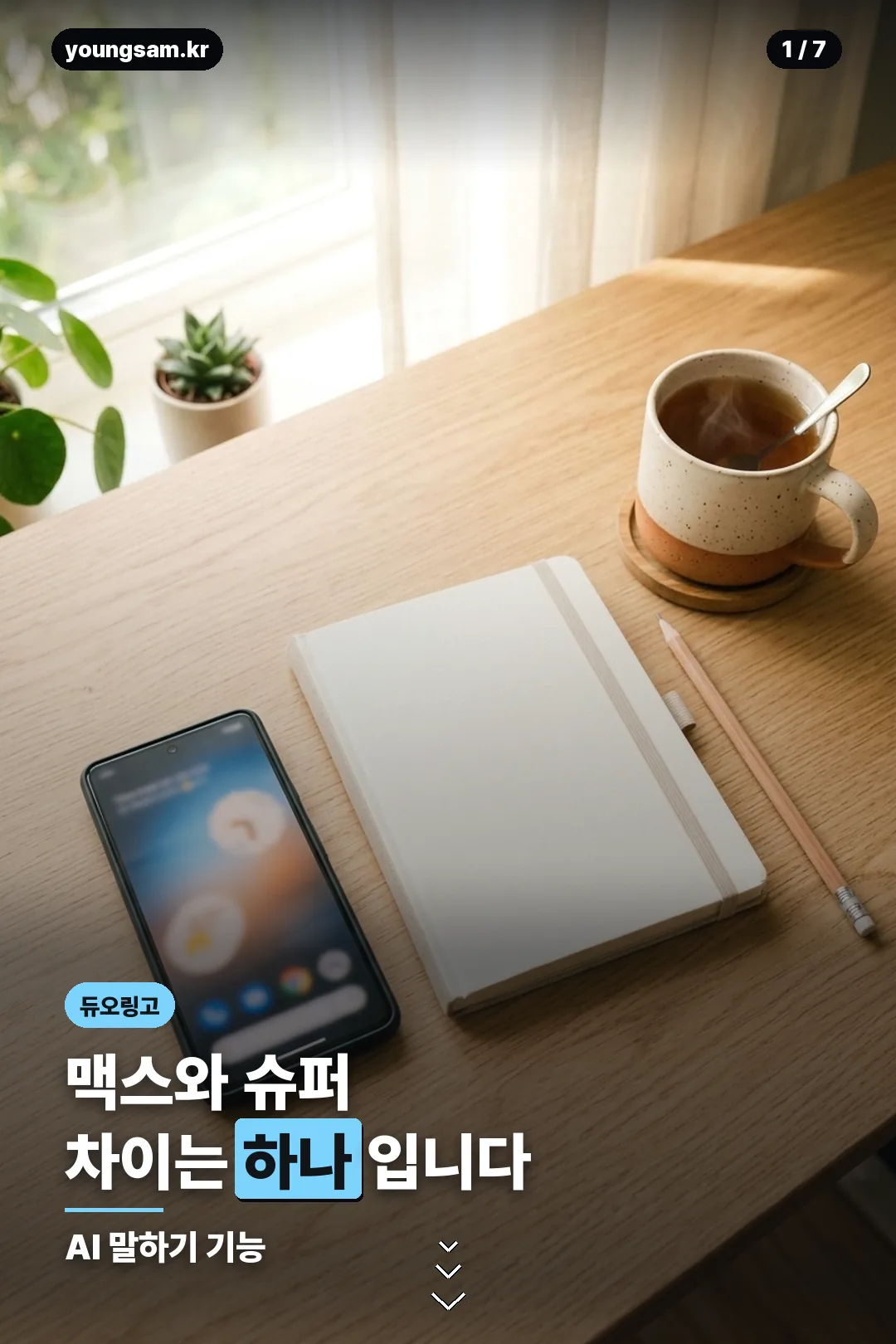 듀오링고 요금제 비교 카드 1
