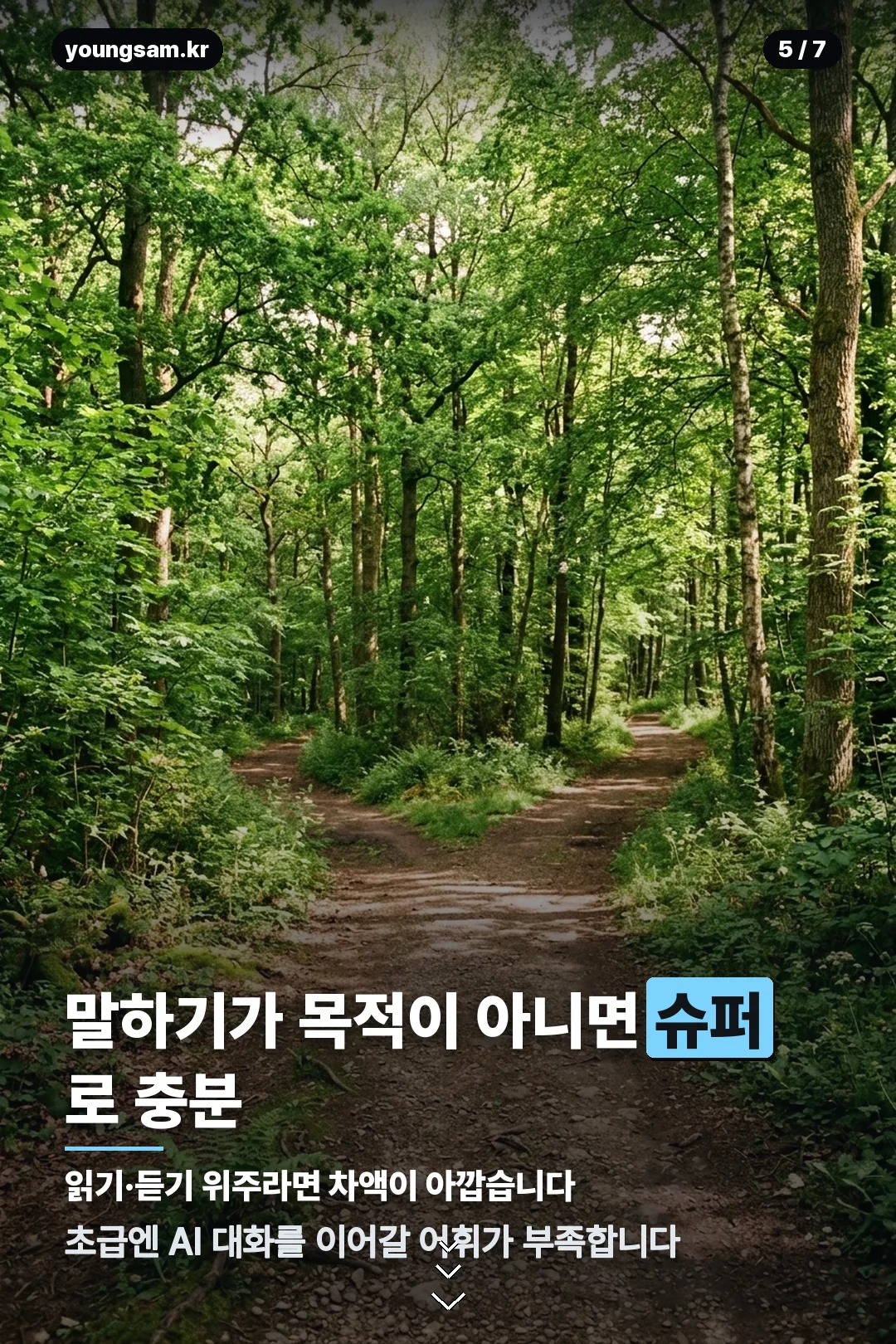 듀오링고 요금제 비교 카드 5