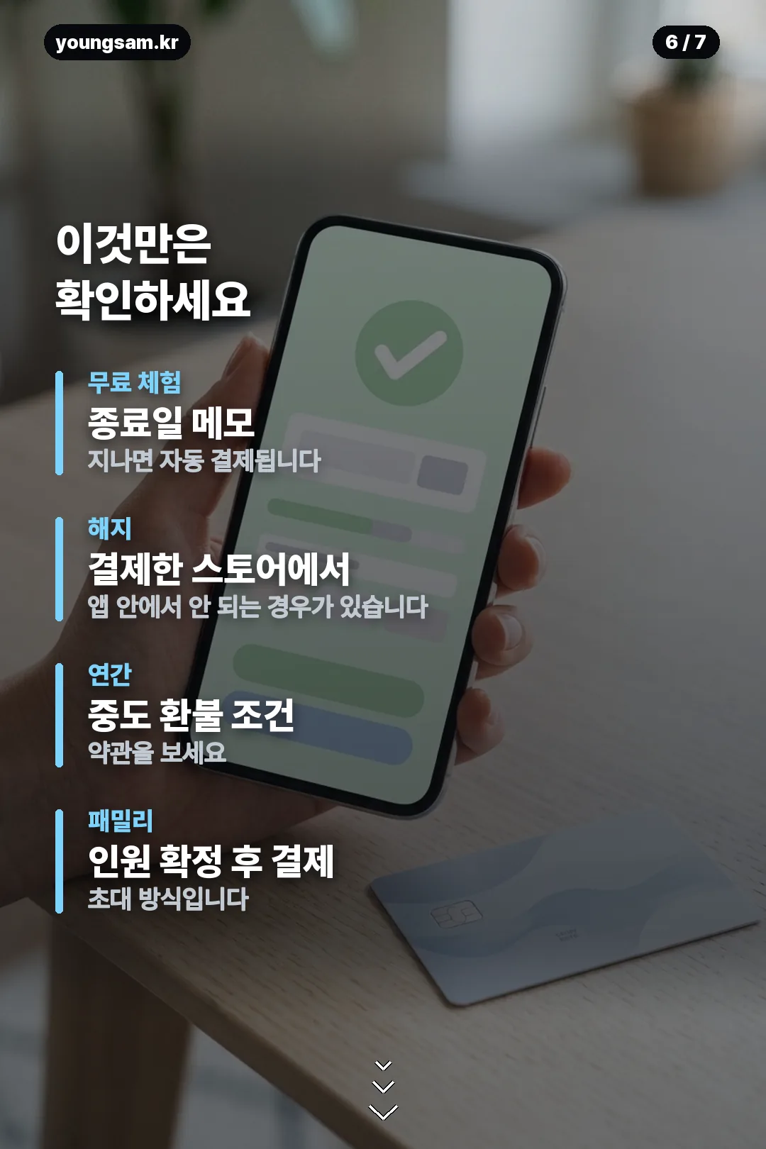 듀오링고 요금제 비교 카드 6