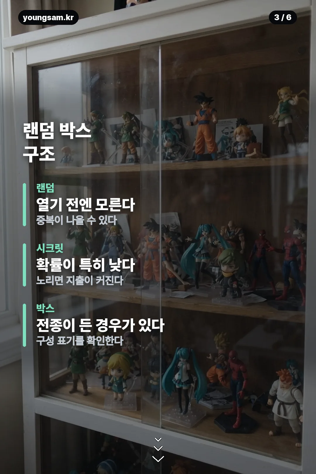 퍼니즘 포켓몬 카드뉴스 3