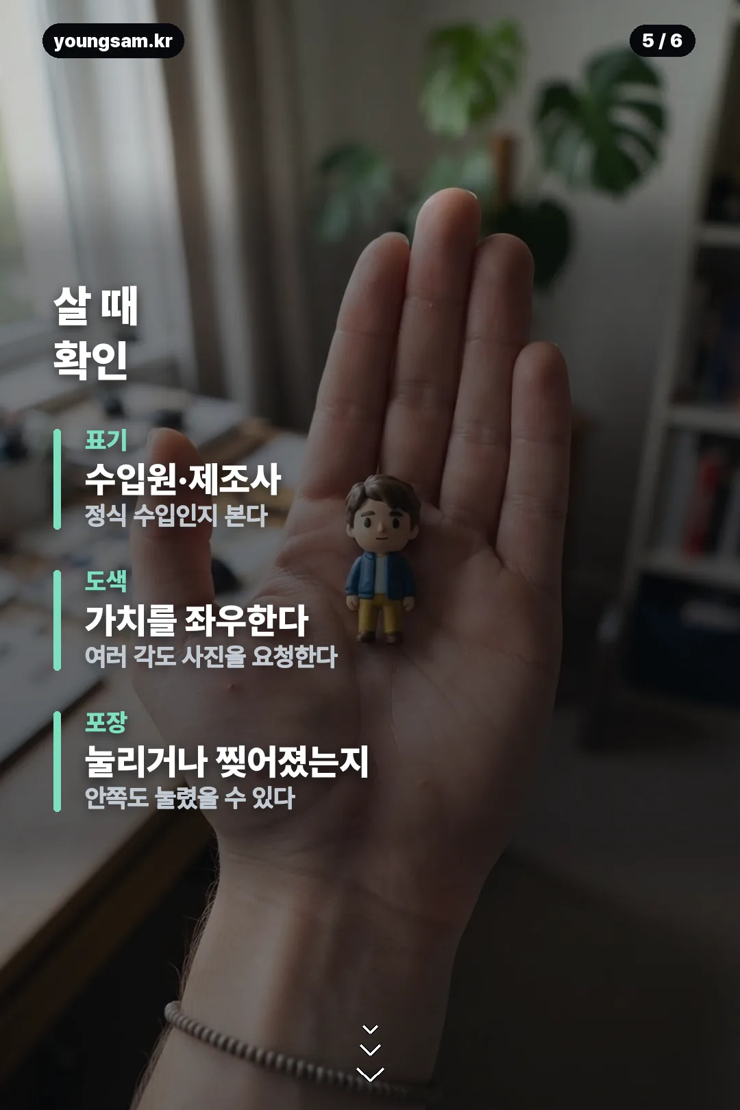 퍼니즘 포켓몬 카드뉴스 5