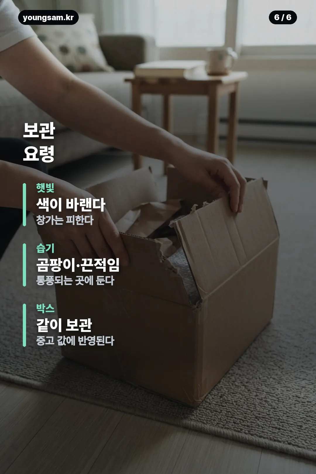 퍼니즘 포켓몬 카드뉴스 6