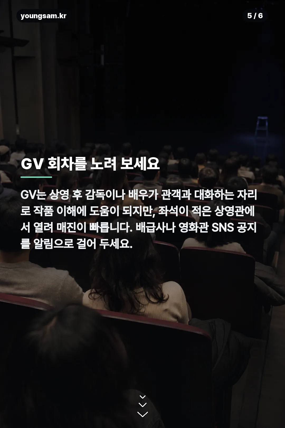 산양들 상영일정 카드뉴스 5