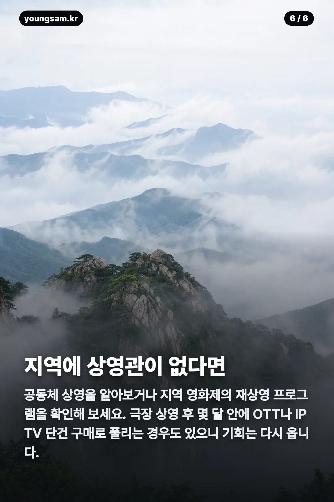 산양들 상영일정 카드뉴스 6
