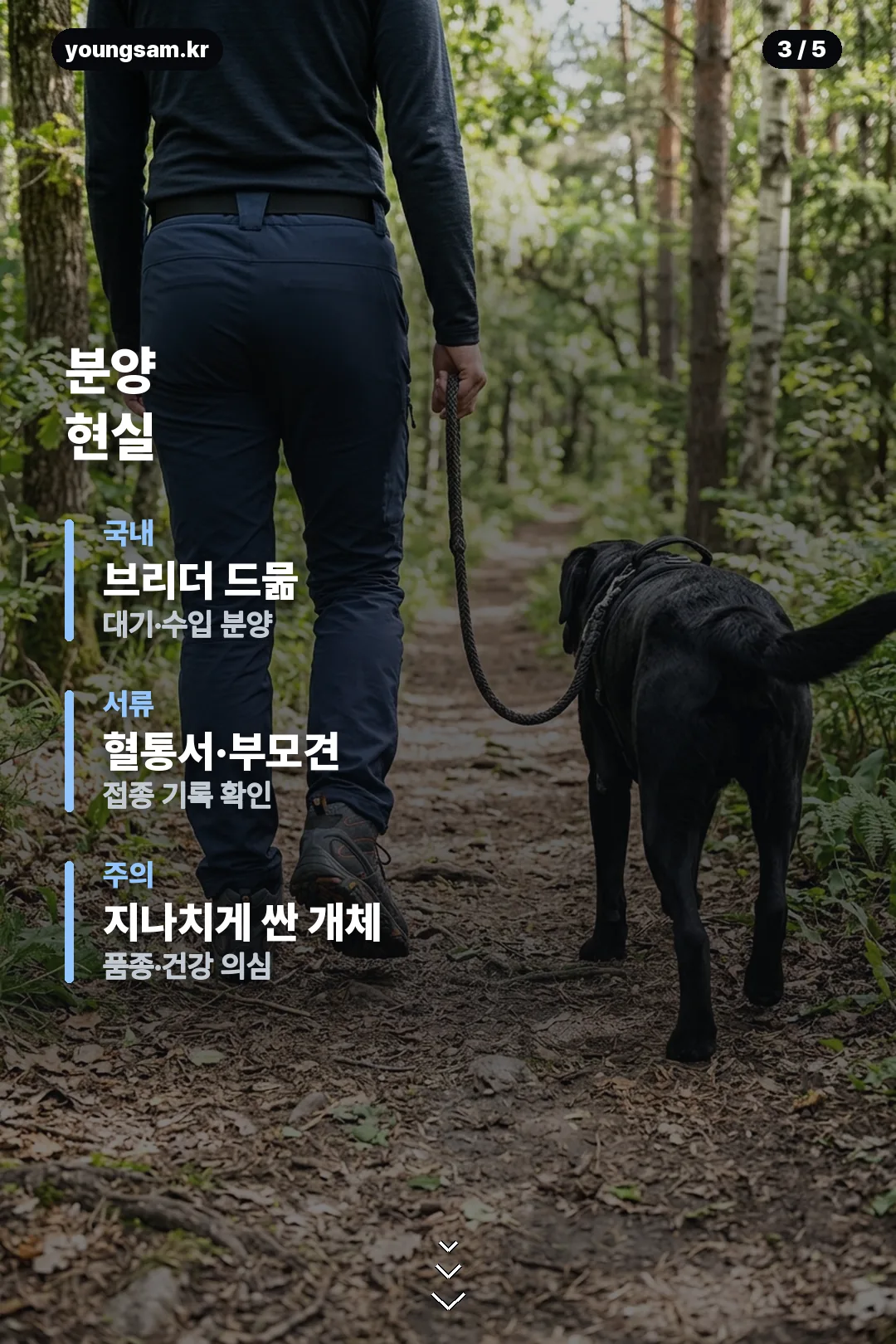 그로넨달 분양 가이드 카드 3