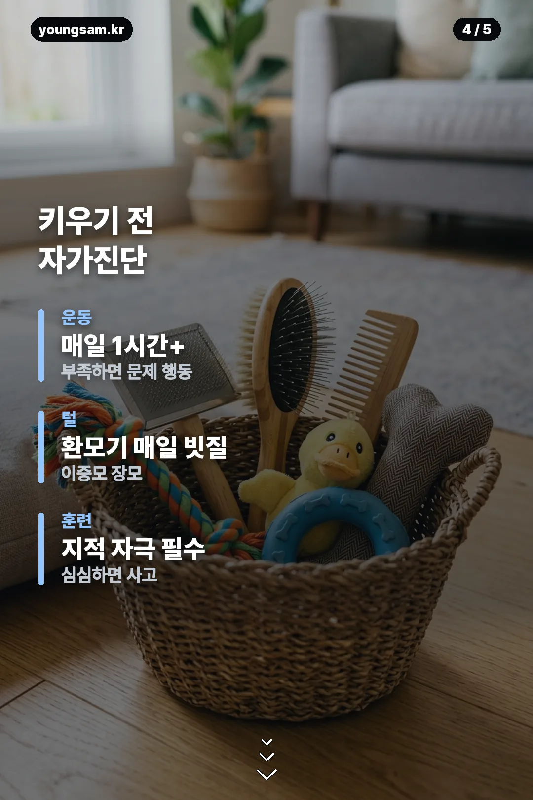 그로넨달 분양 가이드 카드 4