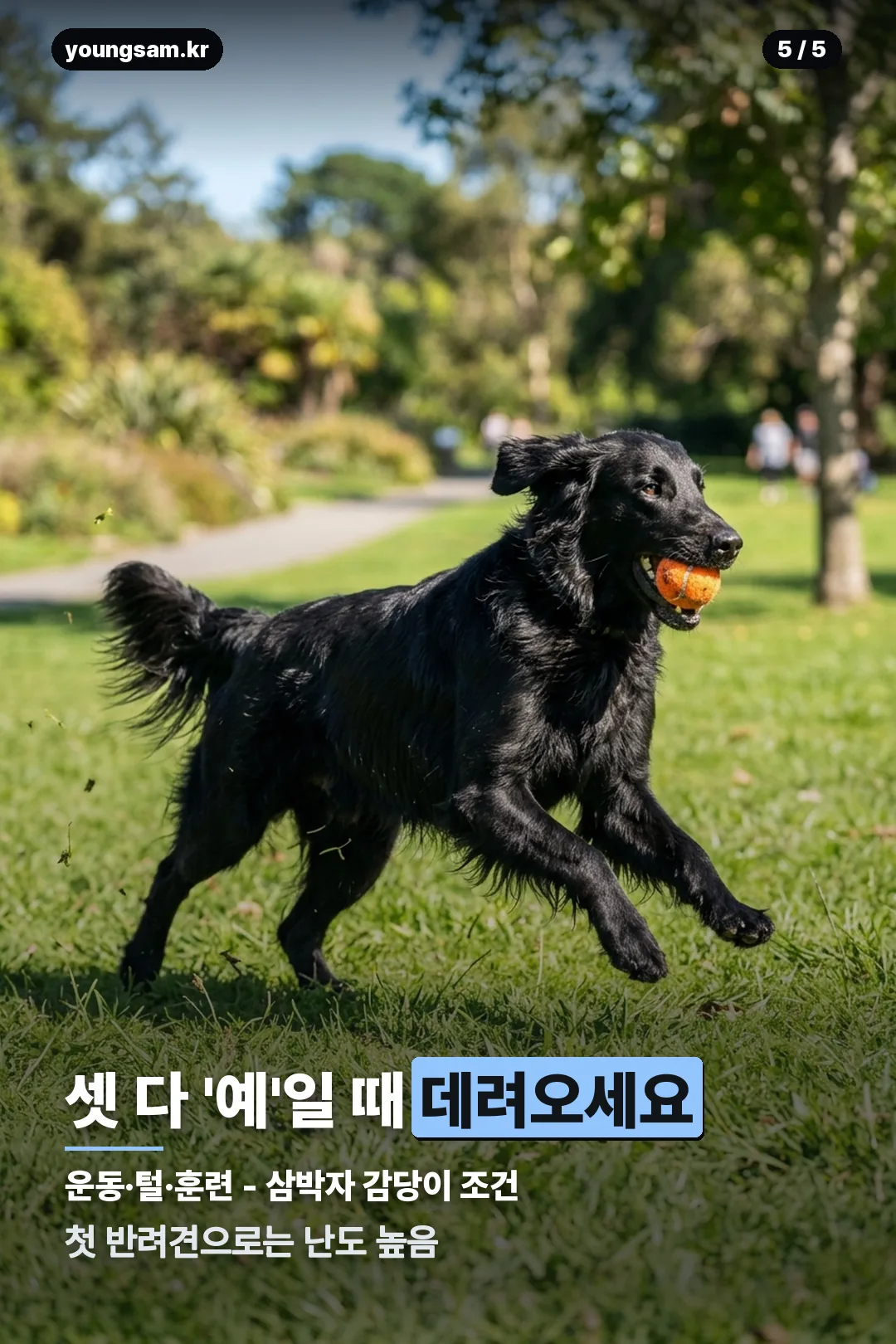 그로넨달 분양 가이드 카드 5
