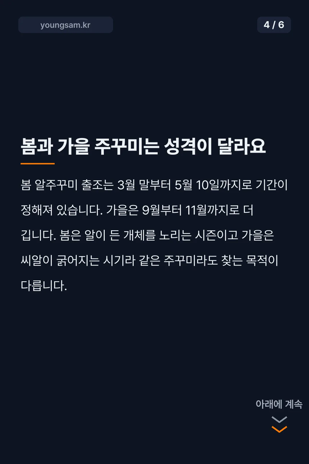 홍원항 원조낚시 카드뉴스 4