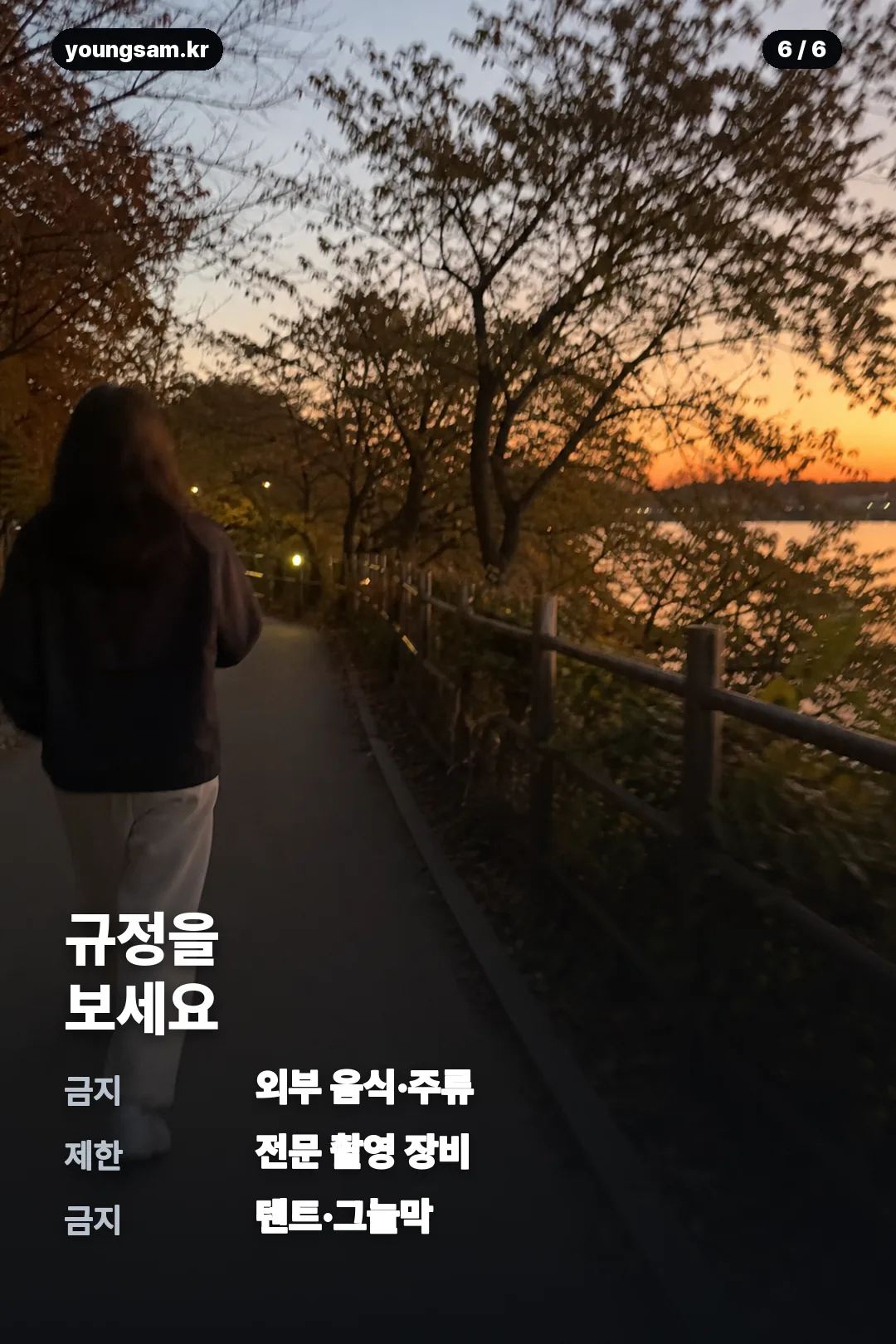 KB 조이올팍 페스티벌 2026 카드뉴스 6