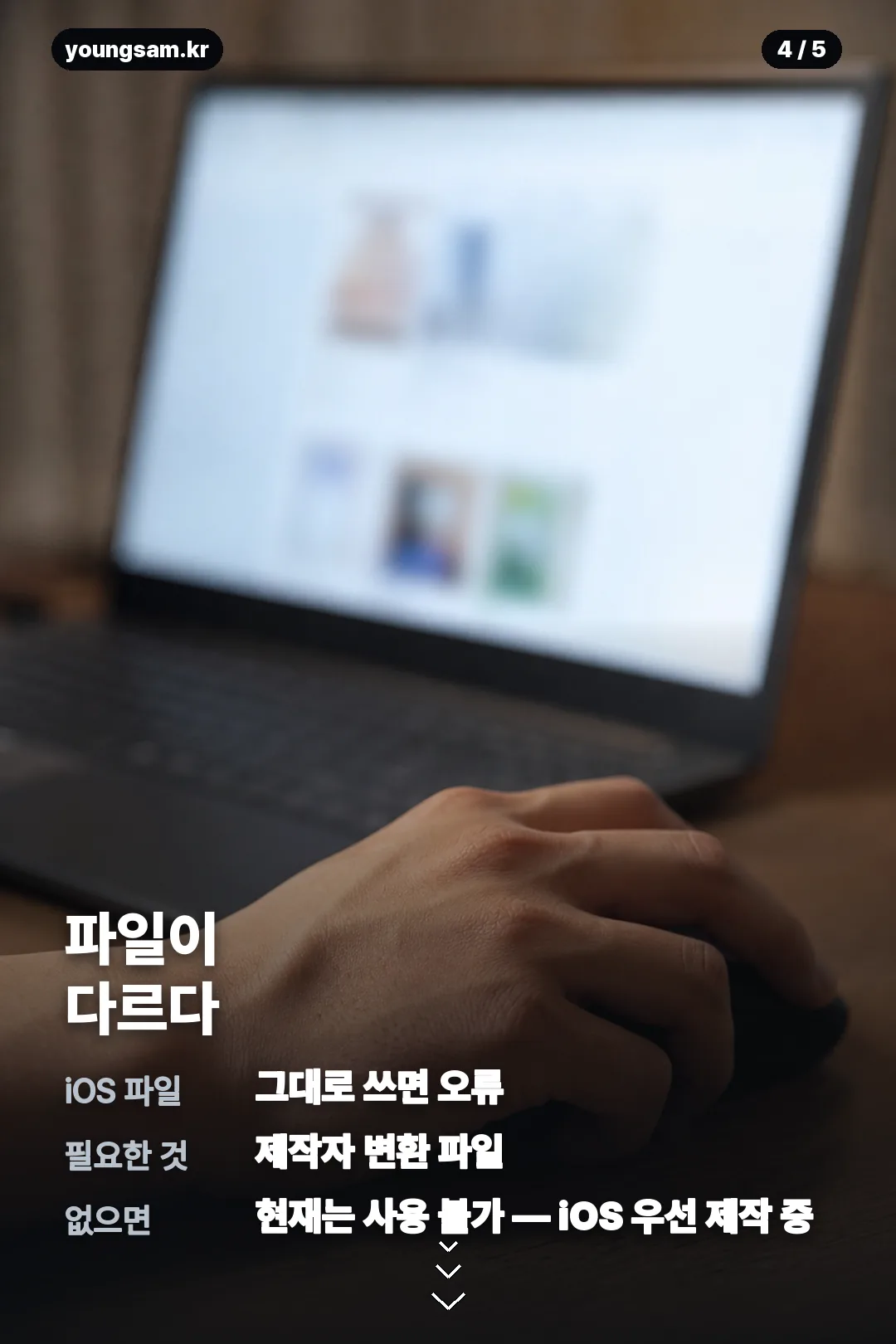 꼬꼬 카톡테마 다운로드와 적용법 카드 4