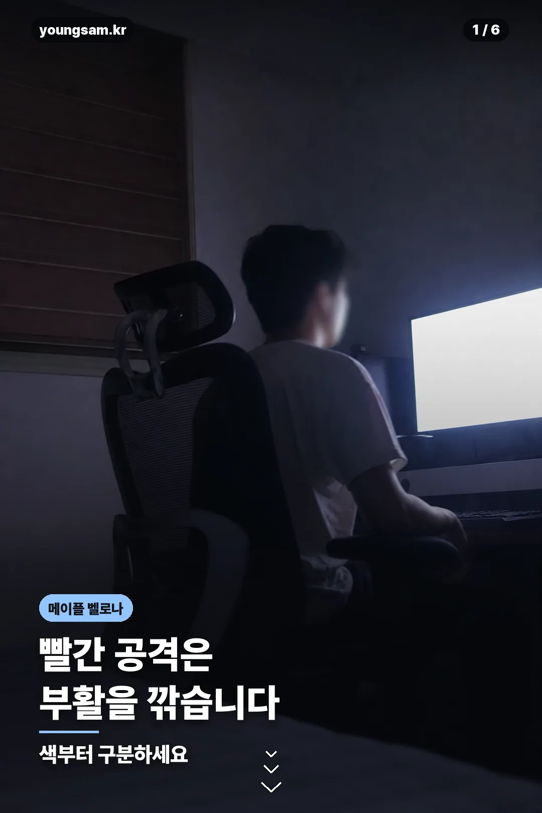 메이플 벨로나 카드뉴스 1