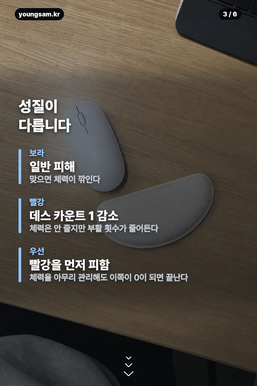 메이플 벨로나 카드뉴스 3
