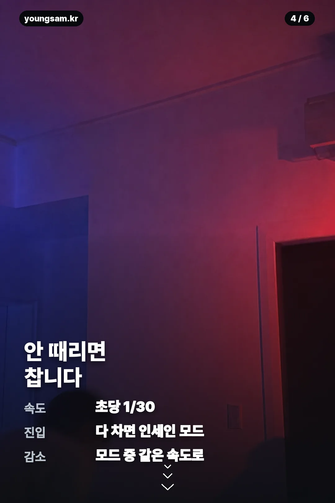 메이플 벨로나 카드뉴스 4