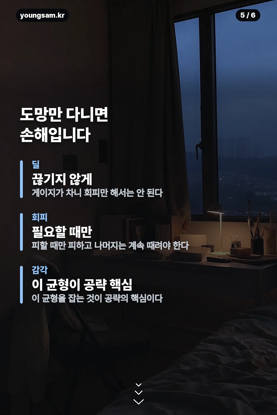 메이플 벨로나 카드뉴스 5