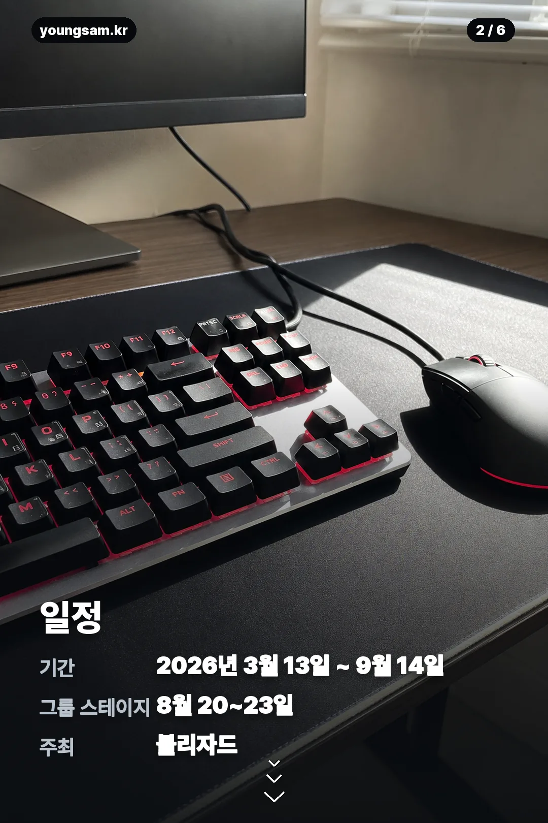 오버워치 월드컵 2026 카드뉴스 2