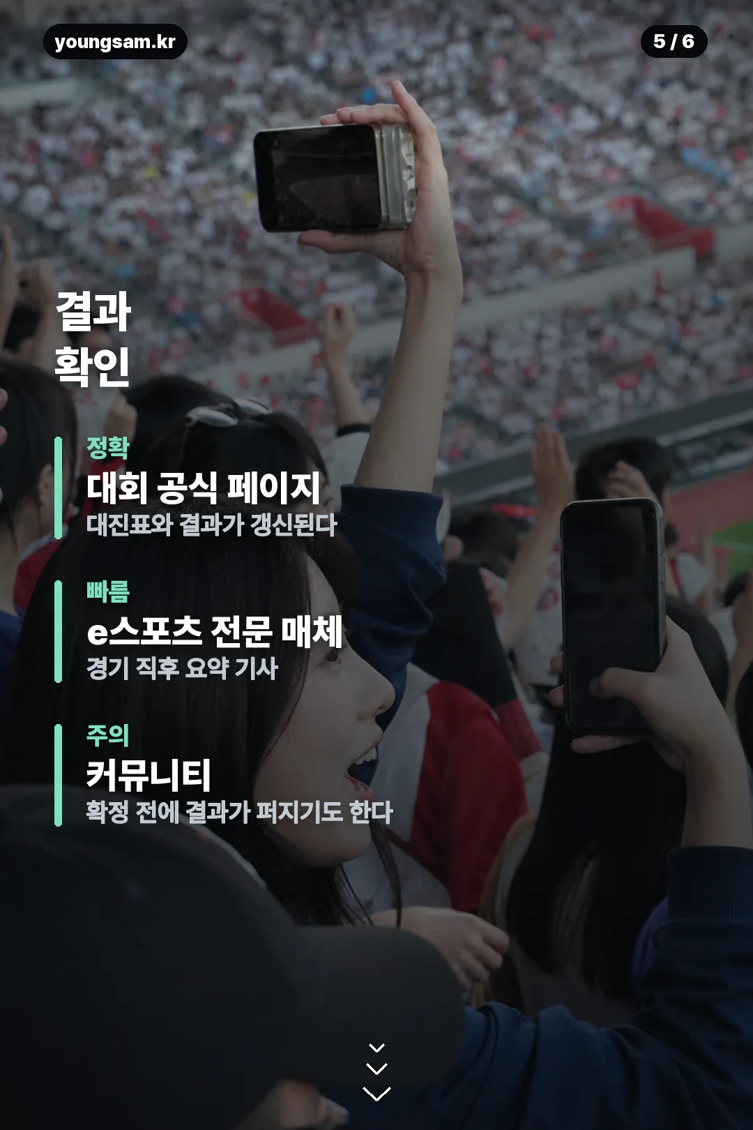 오버워치 월드컵 2026 카드뉴스 5