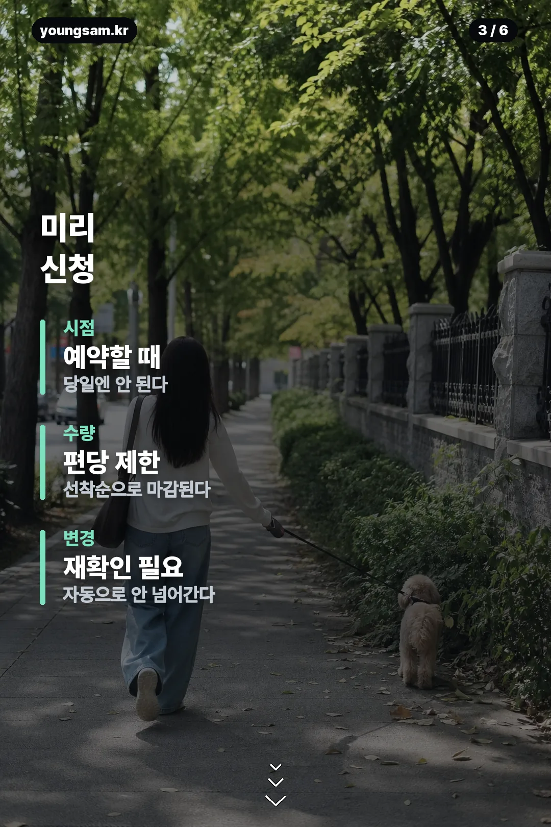 대한항공 반려견 동반석 카드뉴스 3