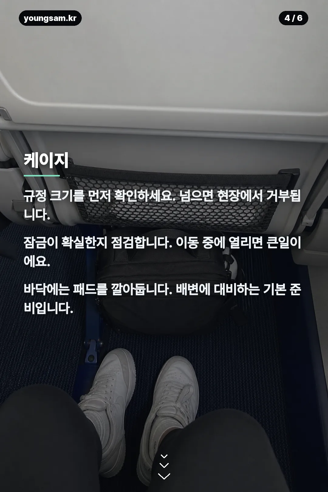 대한항공 반려견 동반석 카드뉴스 4