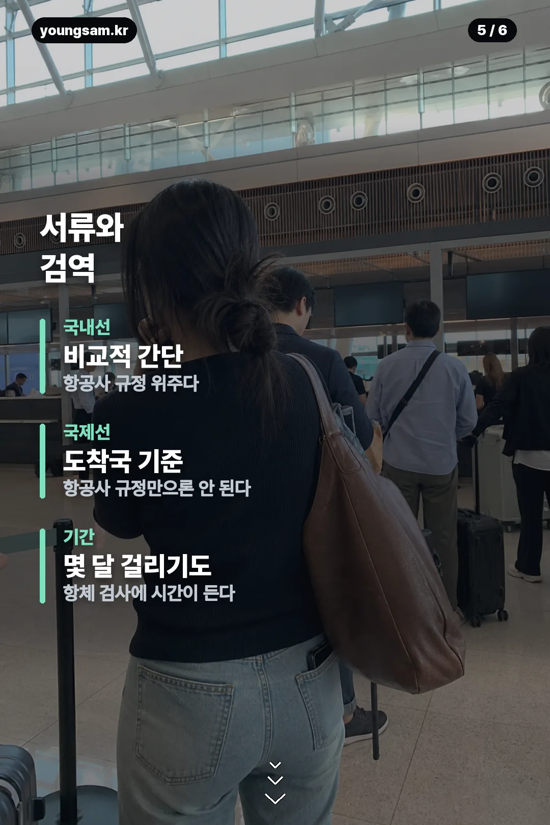 대한항공 반려견 동반석 카드뉴스 5