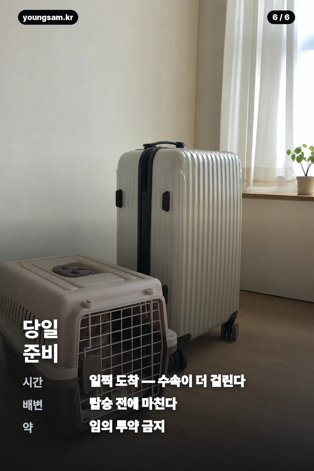 대한항공 반려견 동반석 카드뉴스 6