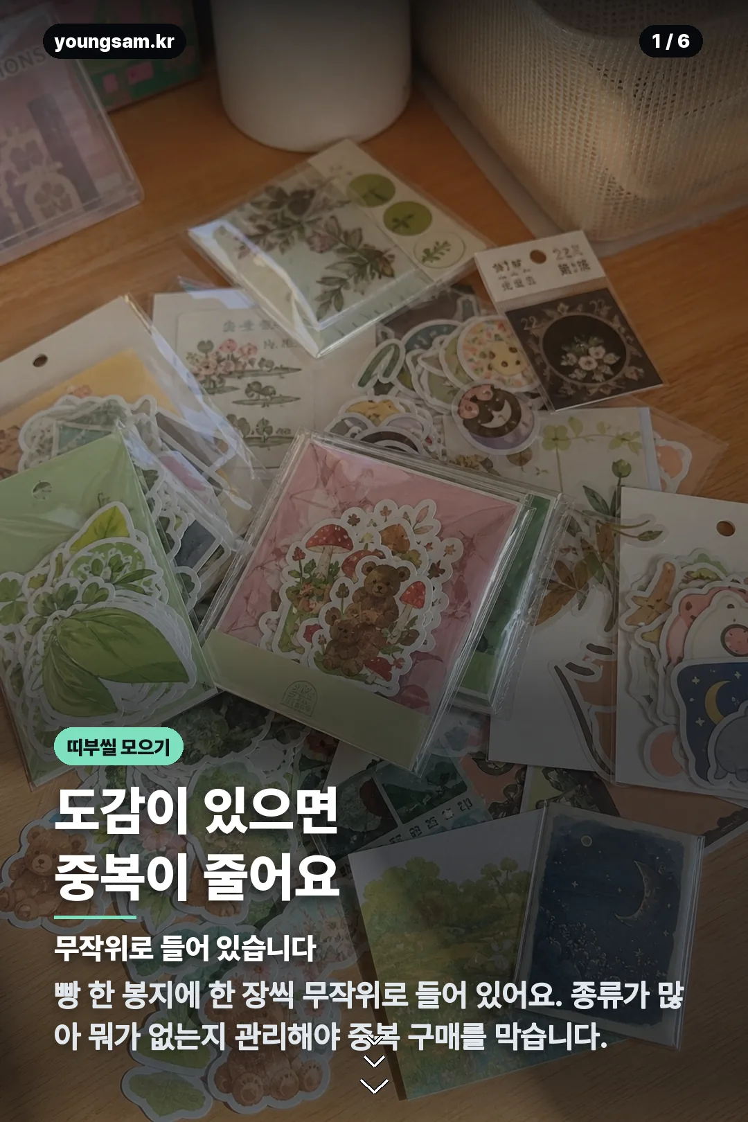 포켓몬 30주년 띠부씰 도감 카드뉴스 1