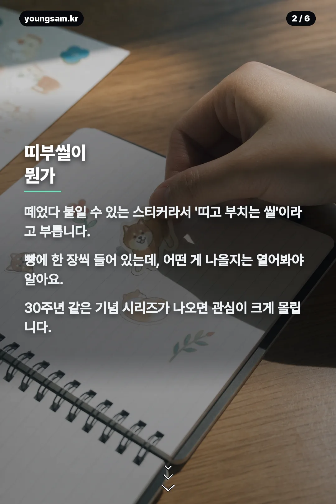 포켓몬 30주년 띠부씰 도감 카드뉴스 2