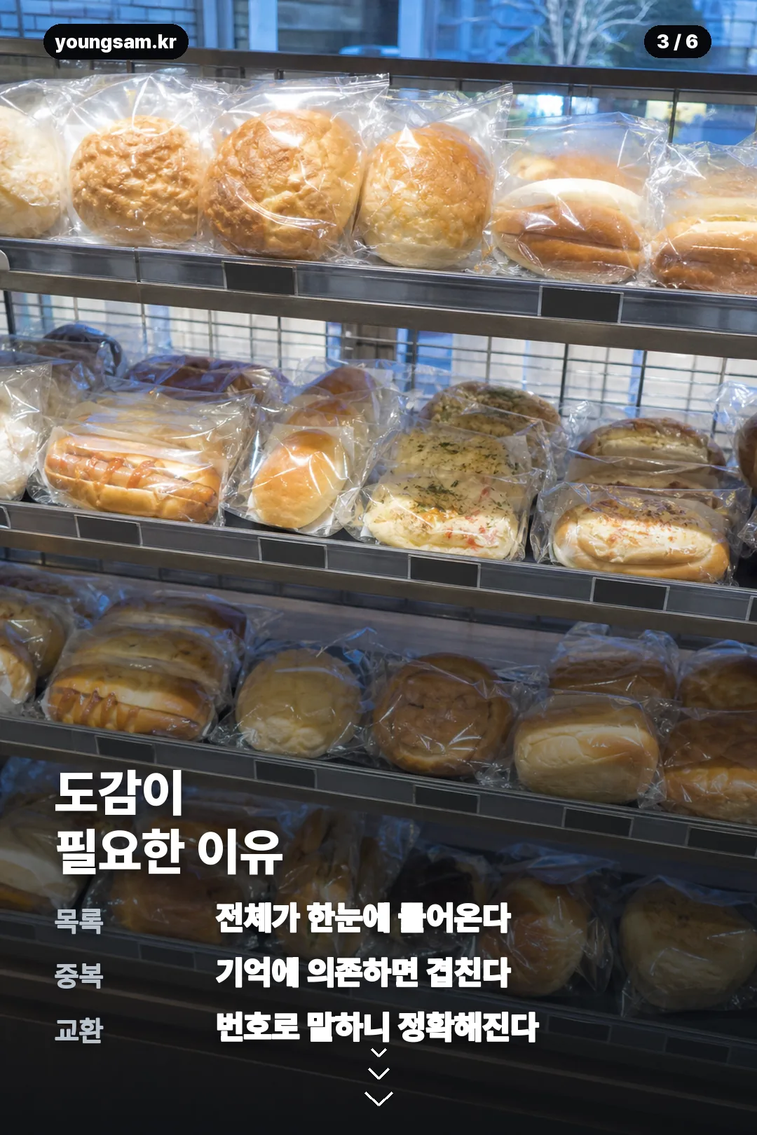 포켓몬 30주년 띠부씰 도감 카드뉴스 3