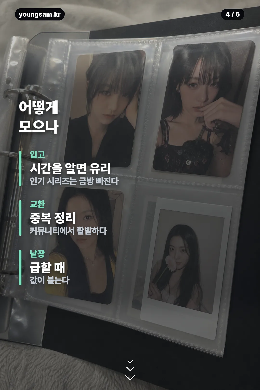 포켓몬 30주년 띠부씰 도감 카드뉴스 4