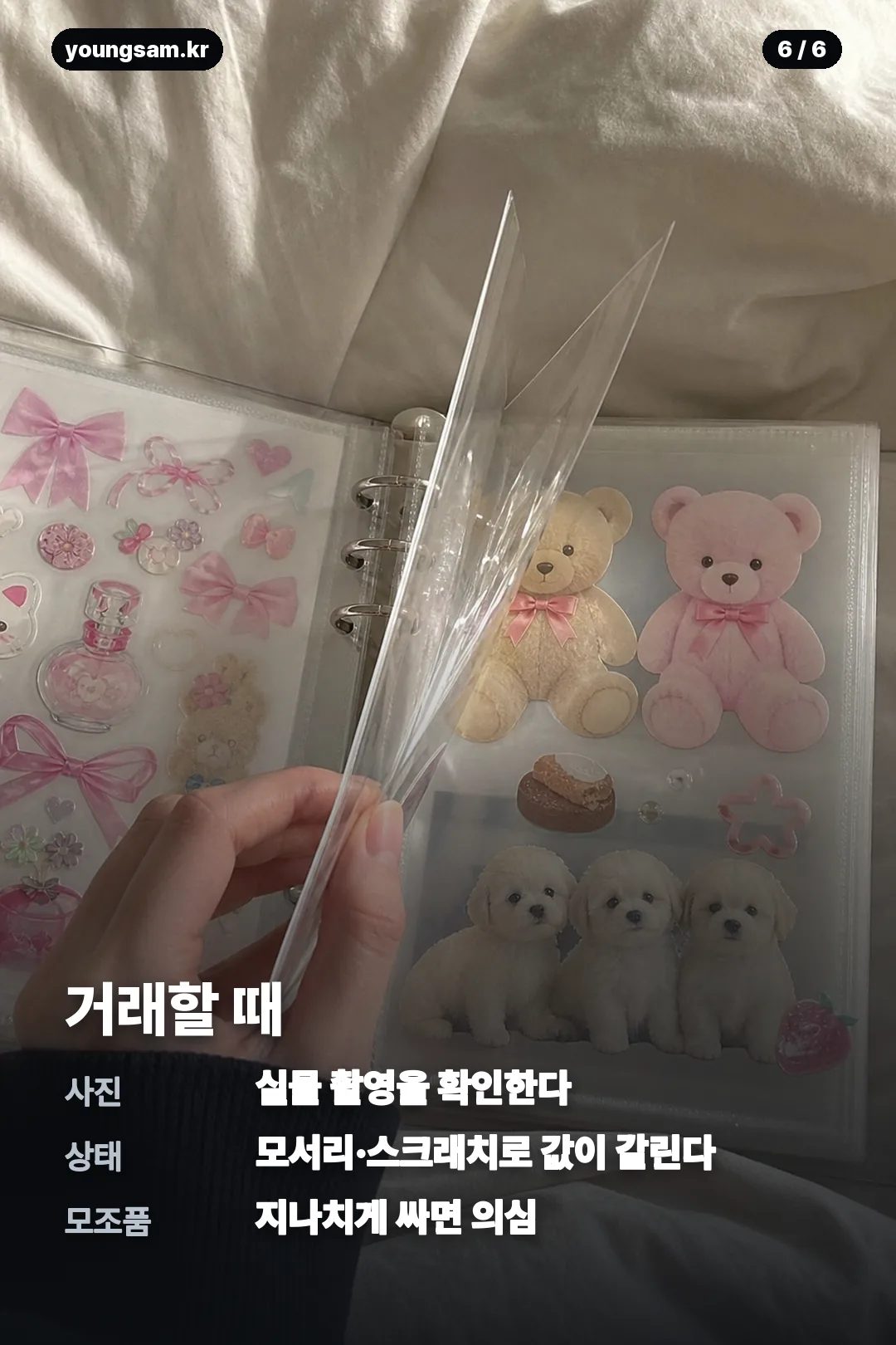 포켓몬 30주년 띠부씰 도감 카드뉴스 6