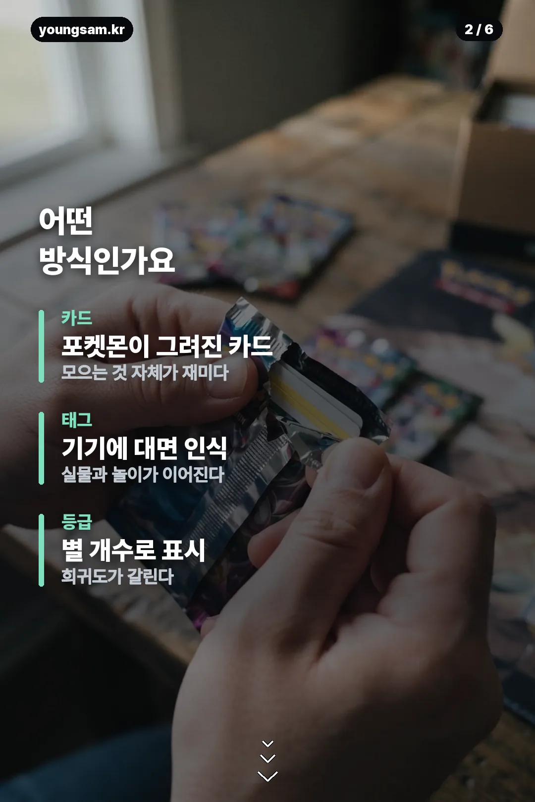 포켓몬 태그스타 2탄 카드뉴스 2