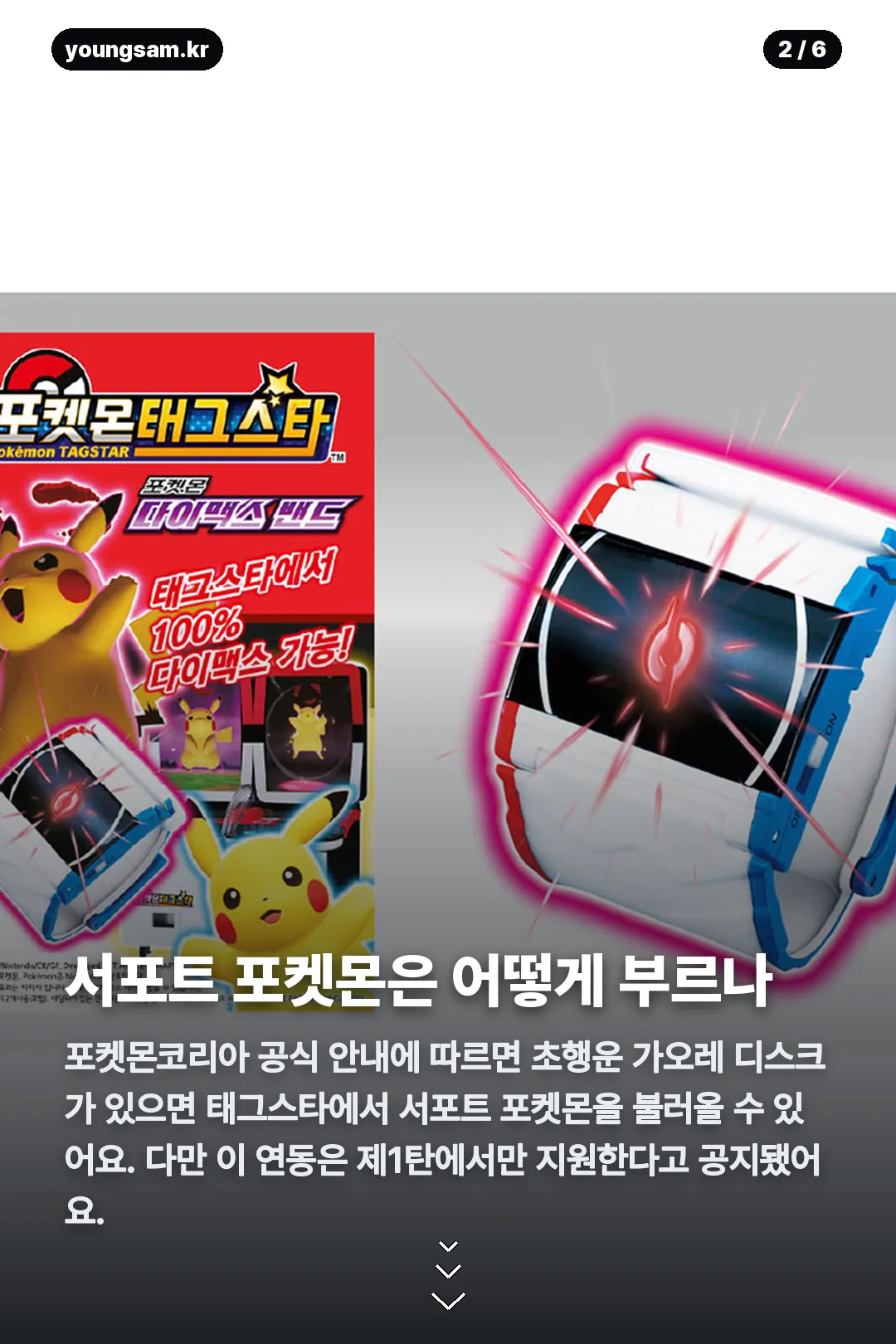 포켓몬 태그스타 서포트 카드 카드뉴스 2
