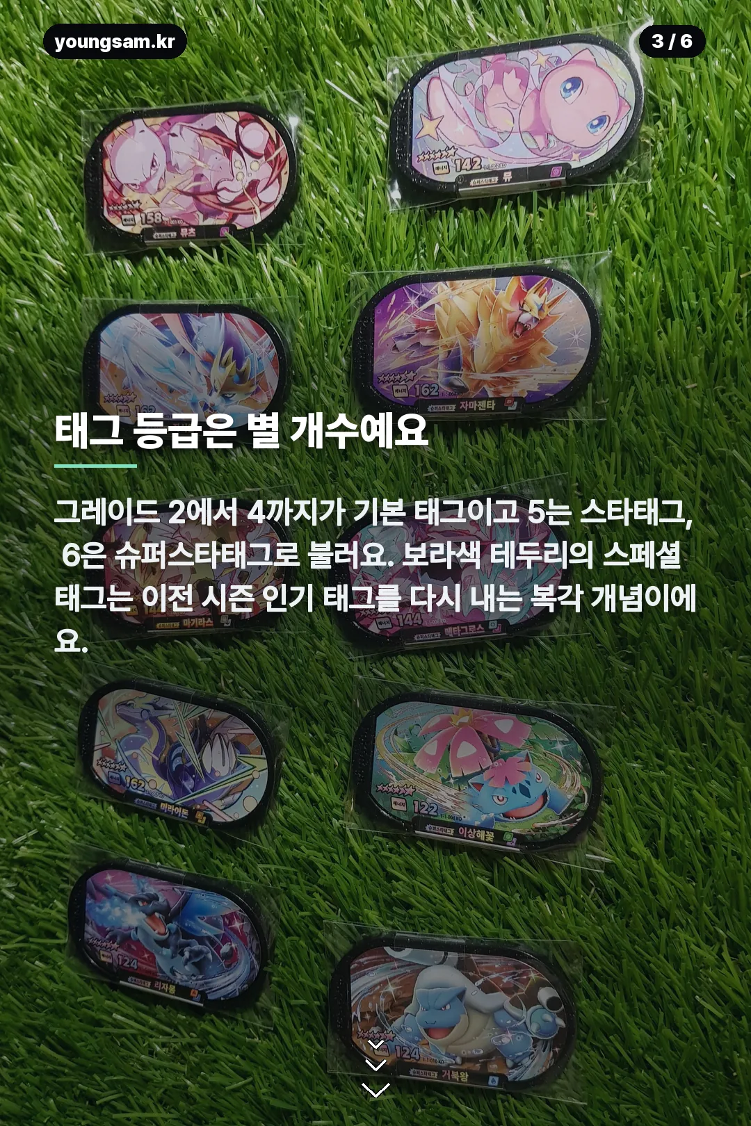 포켓몬 태그스타 서포트 카드 카드뉴스 3