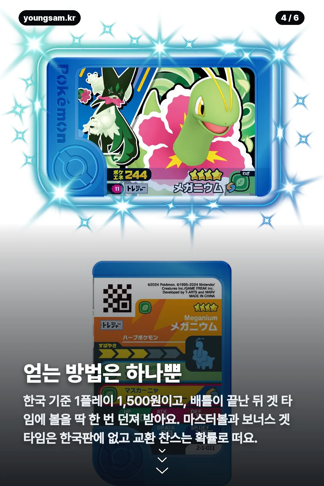 포켓몬 태그스타 서포트 카드 카드뉴스 4