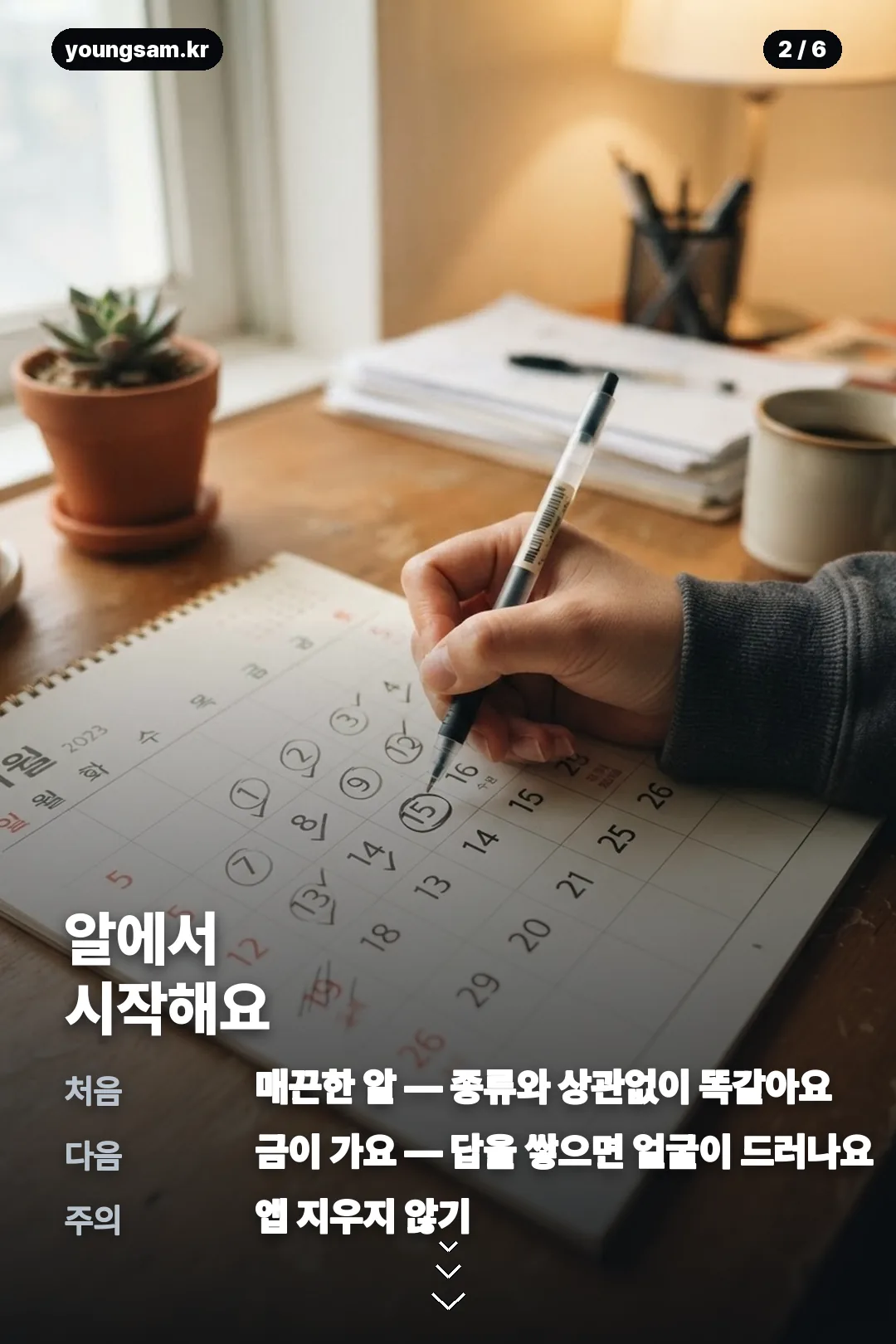 썸원 반려몽 성장 카드뉴스 2